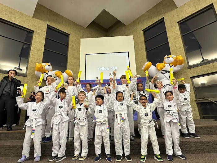 American Martial Arts Academy - Naperville Picture 5