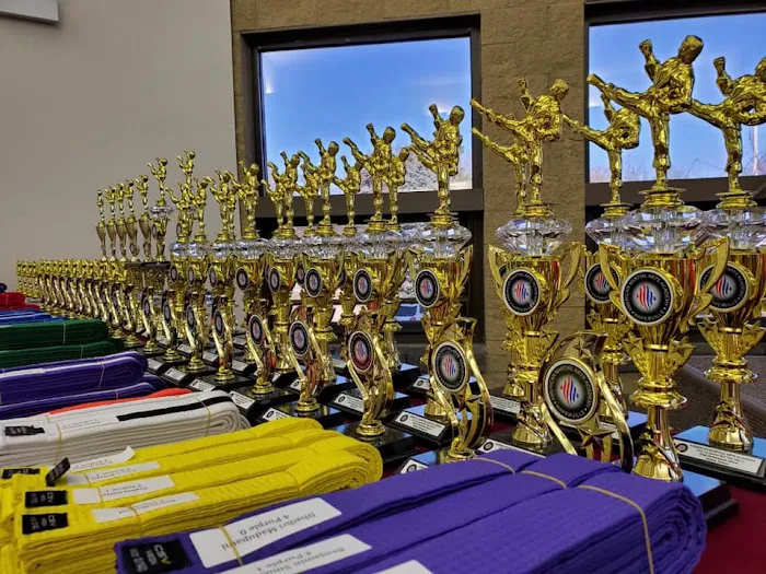 American Martial Arts Academy - Naperville Picture 10