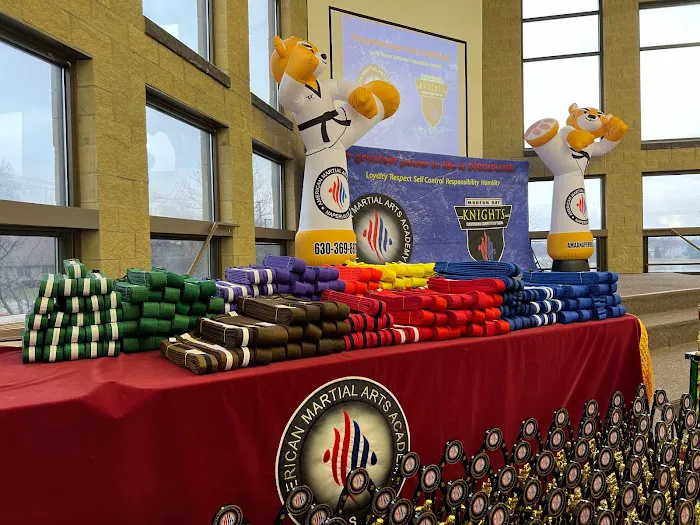 American Martial Arts Academy - Naperville Picture 9