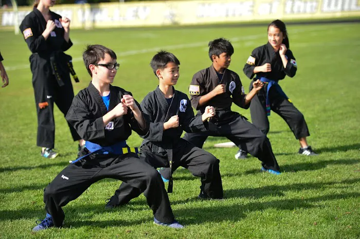 P.S. Academy of Martial Arts and Leadership Picture 1