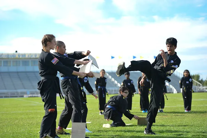 P.S. Academy of Martial Arts and Leadership Picture 7