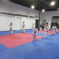 Elite Martial Arts ico