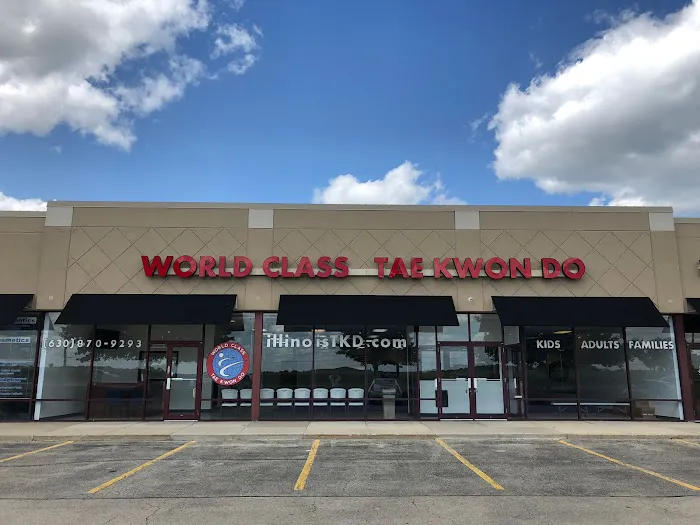 World Class Tae Kwon Do Picture 3