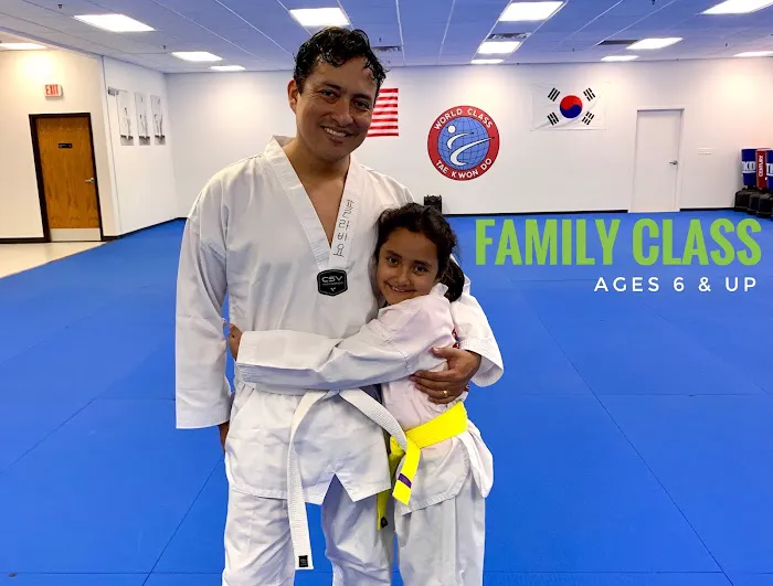 World Class Tae Kwon Do Picture 6