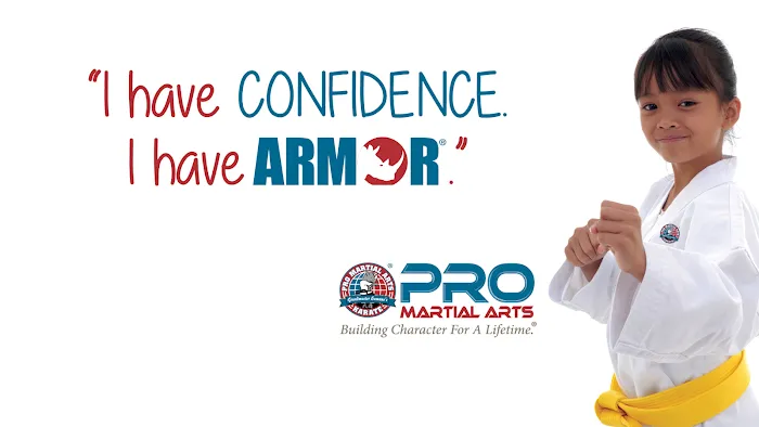 PRO Martial Arts - Wheaton Picture 7