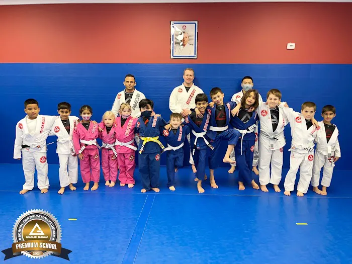Gracie Barra East Naperville Picture 5