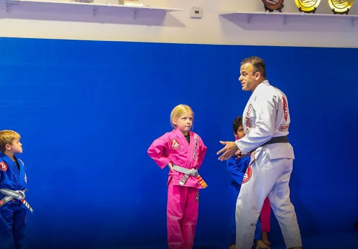 Gracie Barra East Naperville Picture 4