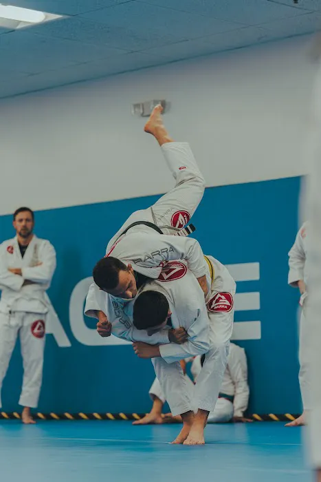 Gracie Barra East Naperville Picture 9