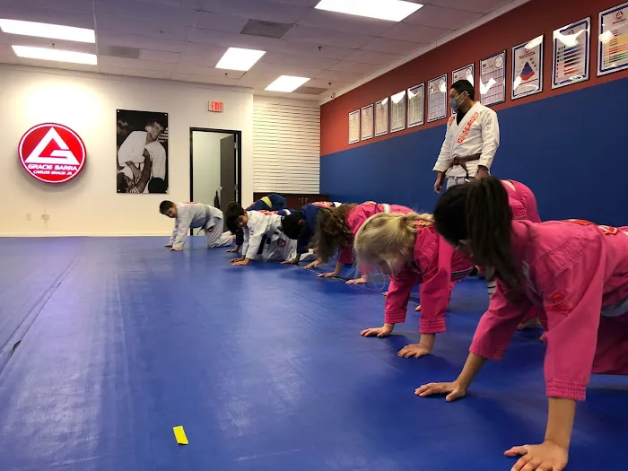 Gracie Barra East Naperville Picture 7