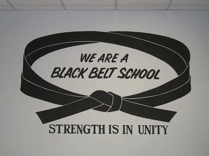Eagle Academy of Martial Arts Picture 7