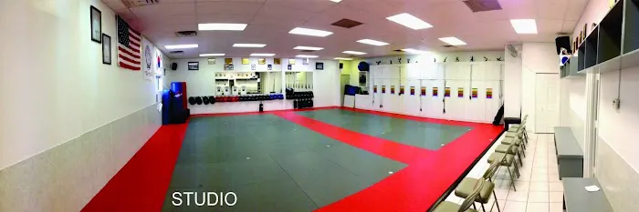Eagle Academy of Martial Arts Picture 4