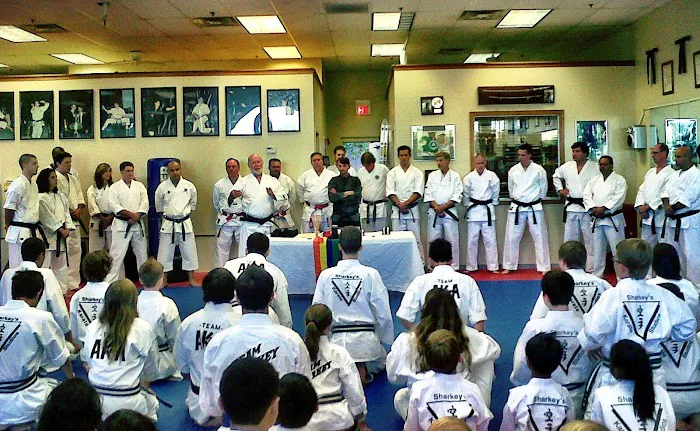 Sharkey's Karate Studio Picture 8
