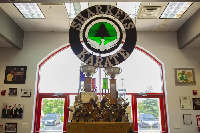 Sharkey's Karate Studio Picture 9