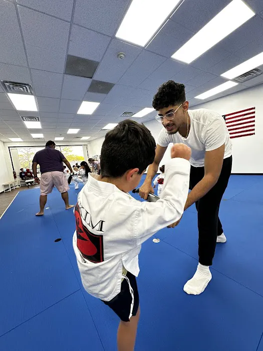 W. Kim Taekwondo Schaumburg - Martial Arts Picture 4