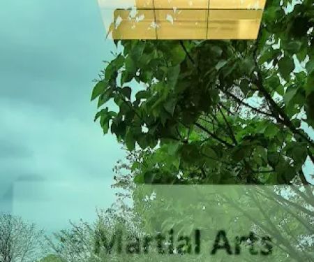 JS Martial Arts