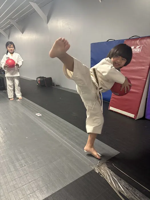 Experience Martial Arts - Valparaiso Picture 4