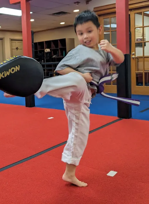 Rising Star Martial Arts Picture 3