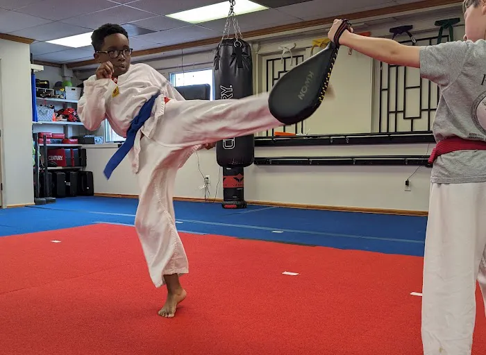 Rising Star Martial Arts Picture 4