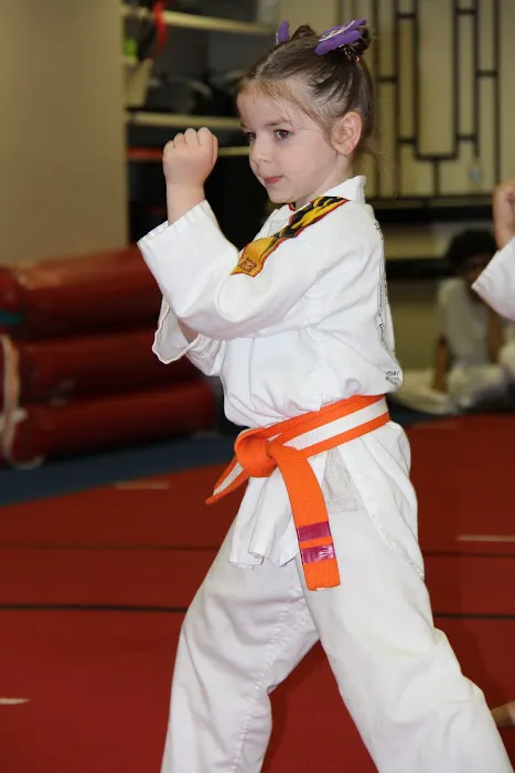 Rising Star Martial Arts Picture 6