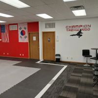 Champion Taekwondo ico