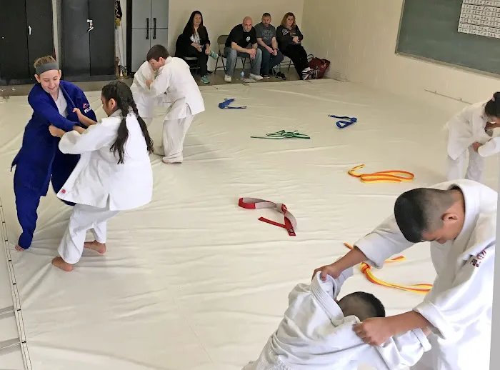 Kodenkan Academy of Martial Arts Picture 3