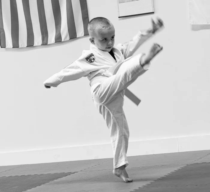 American Taekwondo Academy, LLC Picture 6