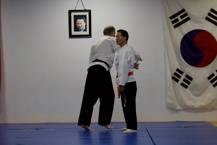American Taekwondo Academy, LLC Picture 4