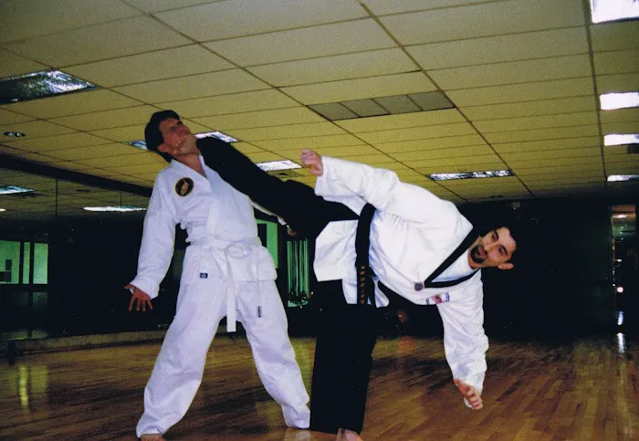 American Taekwondo Academy, LLC Picture 3