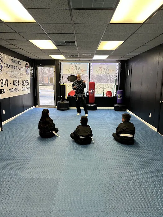 Latin American Martial Arts Educational Institute Picture 1