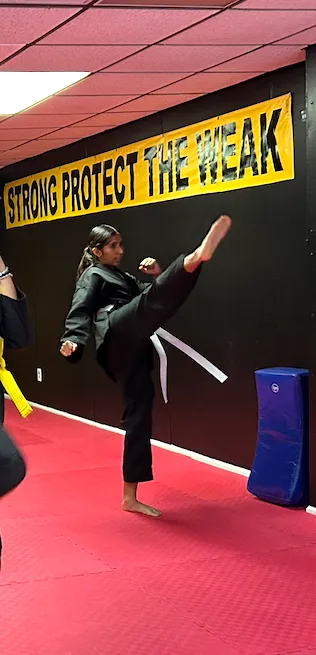 Latin American Martial Arts Educational Institute Picture 7