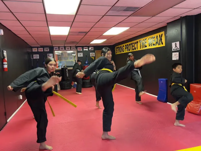 Latin American Martial Arts Educational Institute Picture 10