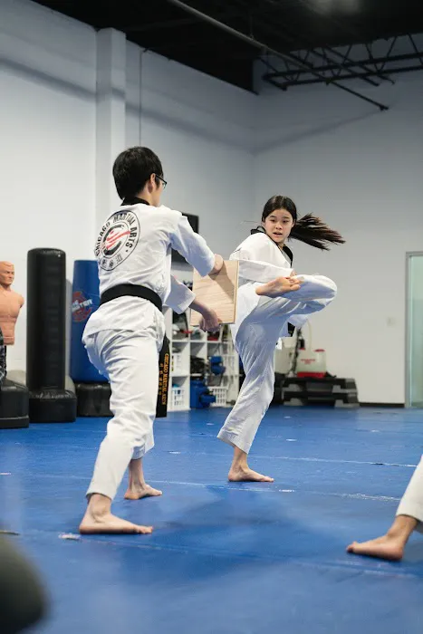 Chicago Martial Arts / Brazilian Top Team Jiu-Jitsu Picture 5