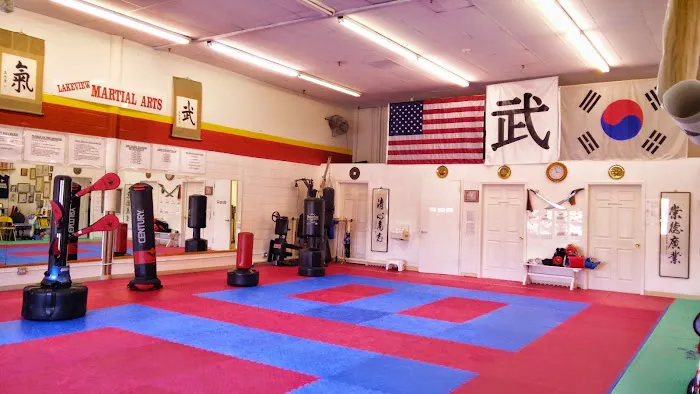 Lakeview Martial Arts Academy Picture 6