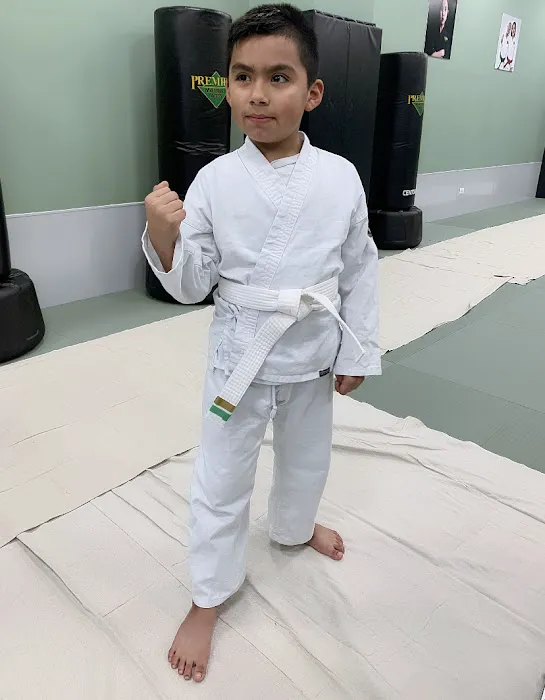 Premier Martial Arts Downtown Arlington Heights Picture 2