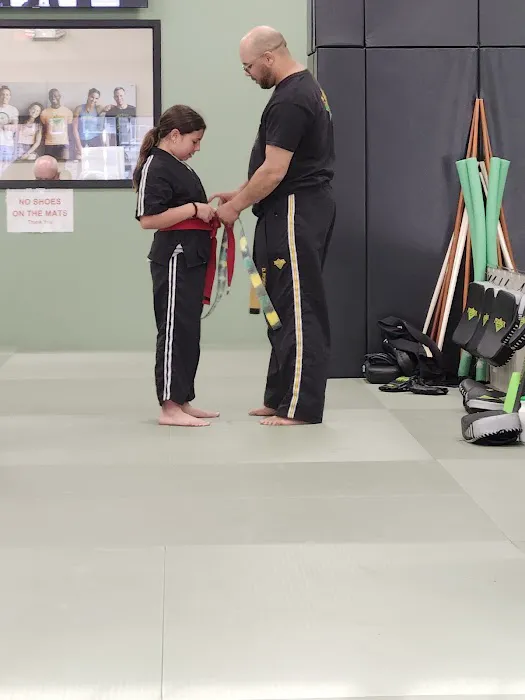 Premier Martial Arts Downtown Arlington Heights Picture 1