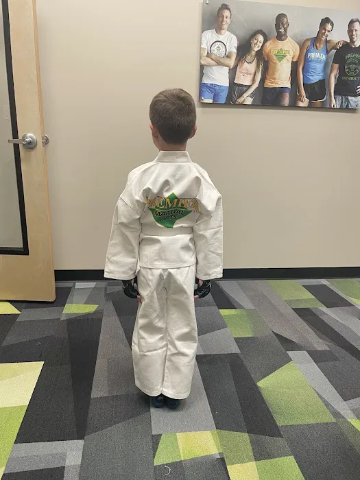 Premier Martial Arts Downtown Arlington Heights Picture 5