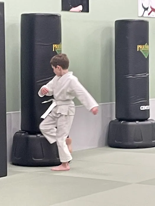 Premier Martial Arts Downtown Arlington Heights Picture 4