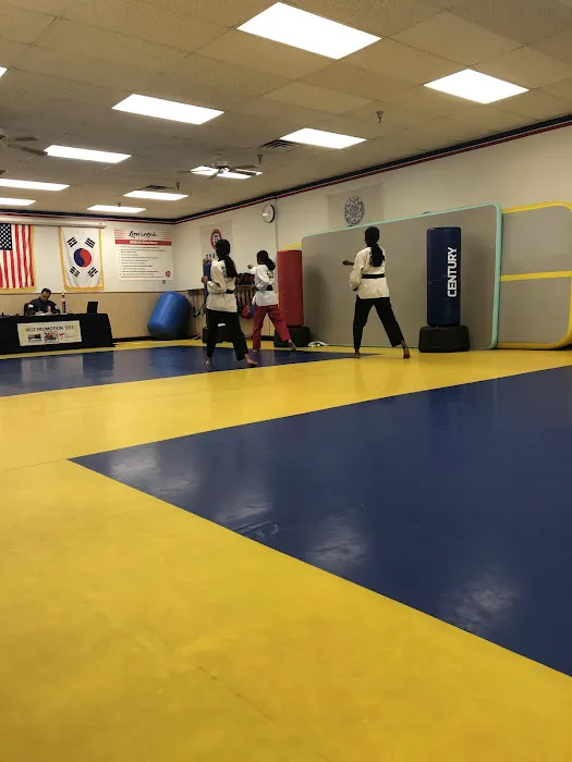 Lion's Taekwondo Picture 1