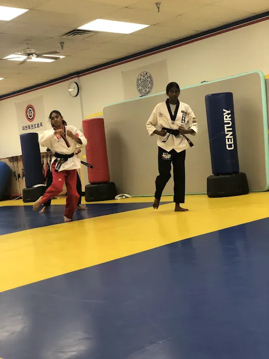 Lion's Taekwondo Picture 3