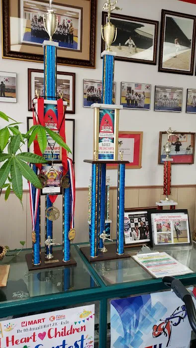Lion's Taekwondo Picture 7