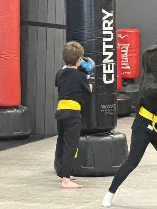 Total Impact Martial Arts and Fitness Picture 6
