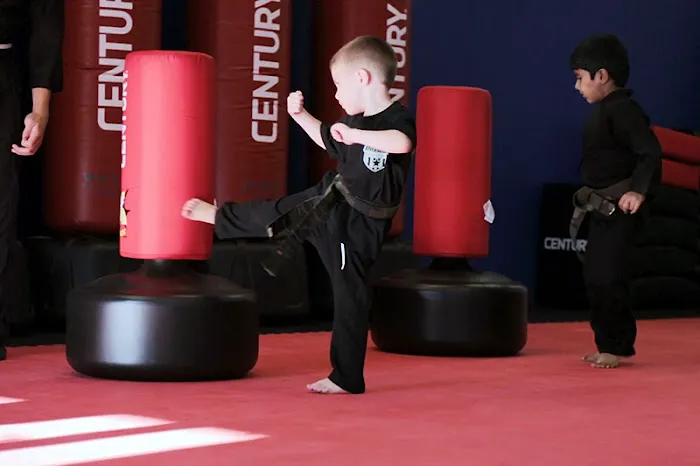 Total Impact Martial Arts and Fitness Picture 8