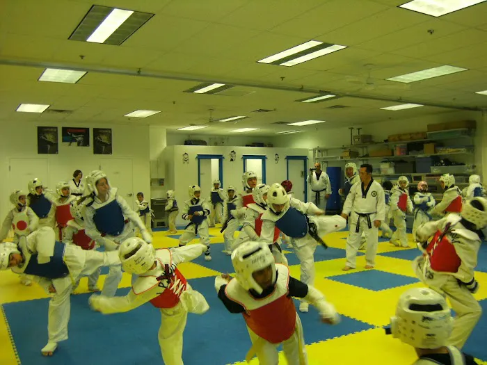 JP WOOD MARTIAL ARTS AMERICA Picture 4