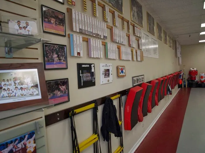 Chang's Martial Arts Academy Picture 5