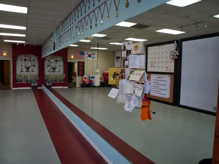 Chang's Martial Arts Academy Picture 3