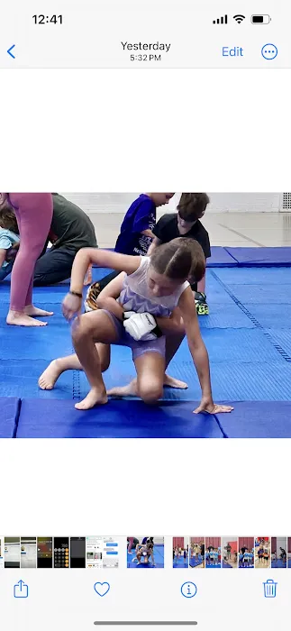Victory Martial Arts- Frankfort Park District Picture 4