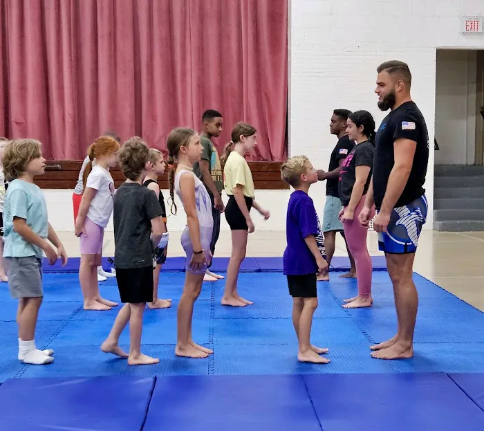 Victory Martial Arts- Frankfort Park District Picture 2
