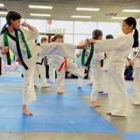 ROMA Tang Soo Do ico