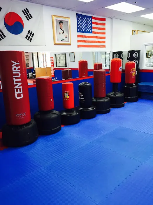 Sarez Martial Arts Picture 6