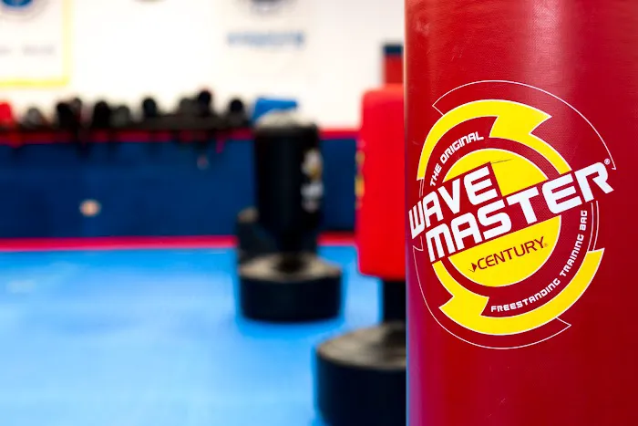 Sarez Martial Arts Picture 7
